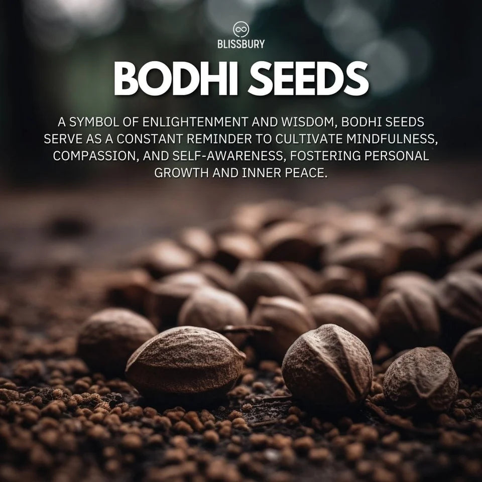 Bodhi Seed Bracelet - Spiritulaity, Wisdom, Peace