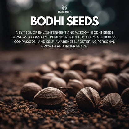 Bodhi Seed Bracelet - Spiritulaity, Wisdom, Peace